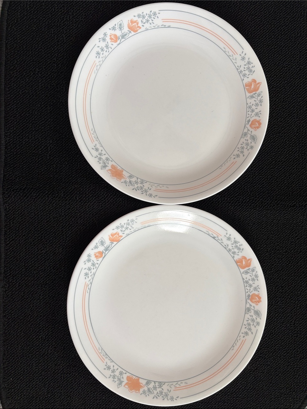 2 Corelle Apricot Grove 10 1/4” Dinner Plates Peach & Blue Floral